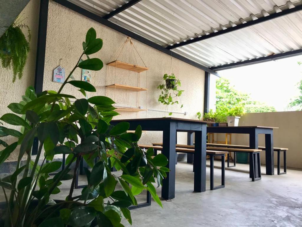 Hostel Freeway Brezilya Dış mekan fotoğraf
