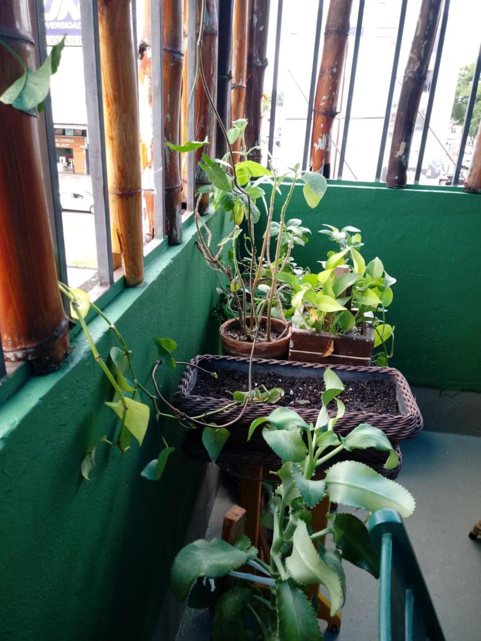 Hostel Freeway Brezilya Dış mekan fotoğraf